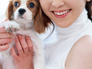 ���Y�����C�v���C