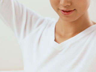 �j���[�n�[�t�̃`���|